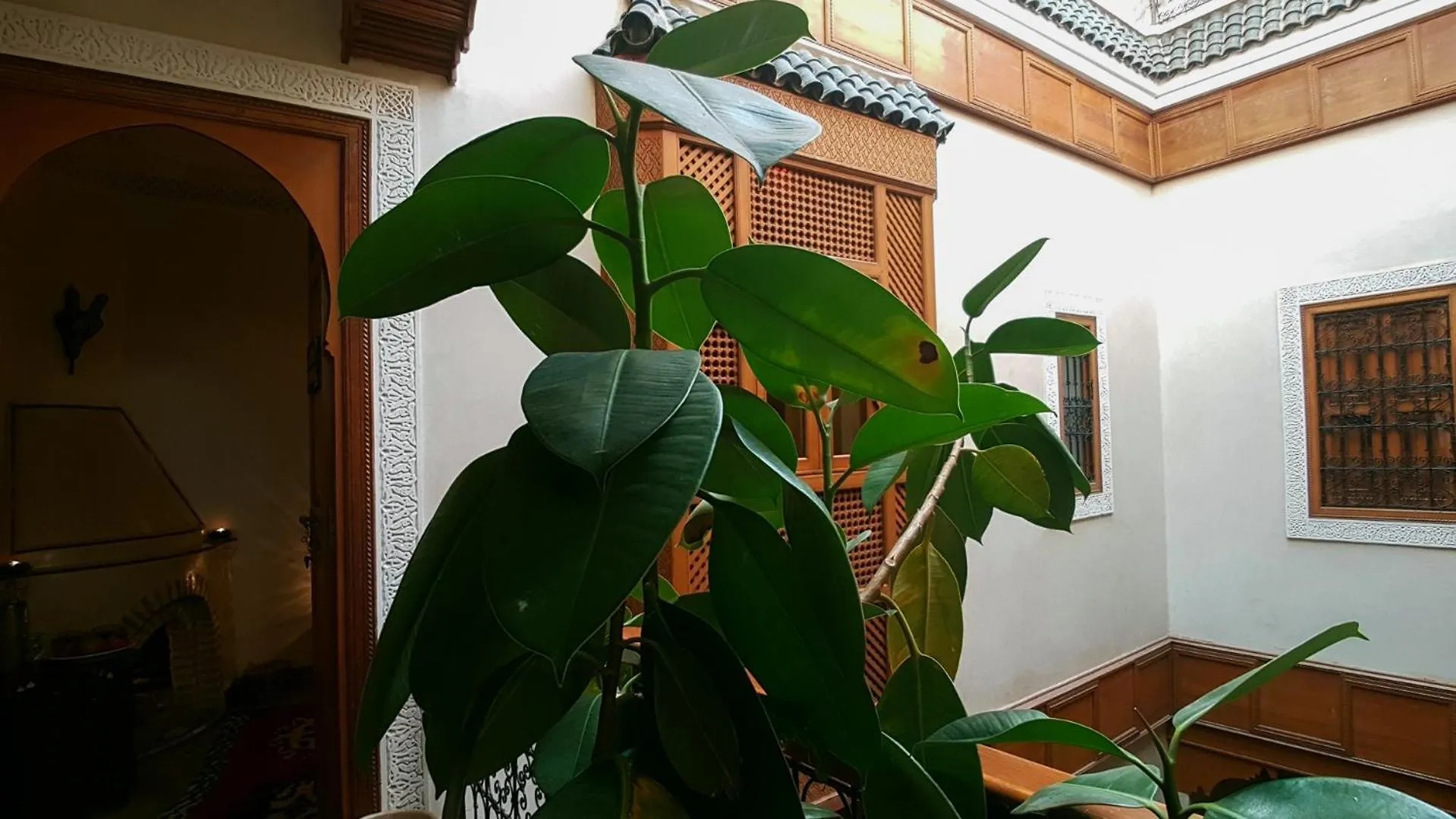 Riad Gallery 49 & Spa Marrakesh